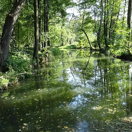 Apartament Wunderlich